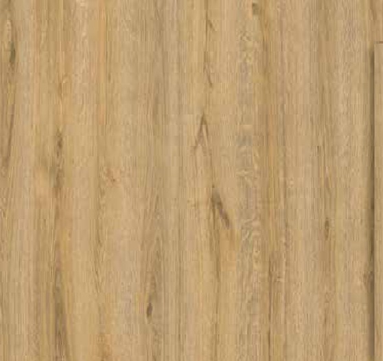 Bella Neo Akasya (Gardenya)