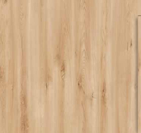 Bella Neo Yuka (Frezya)