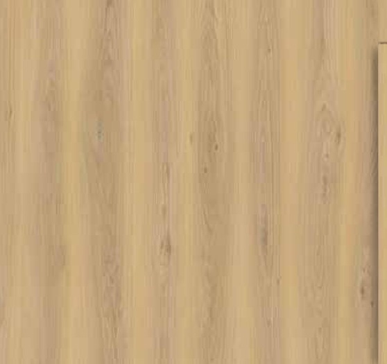 Corvina Perle (Albana)