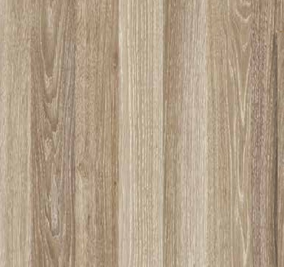 Corvina Pigato (Astera)