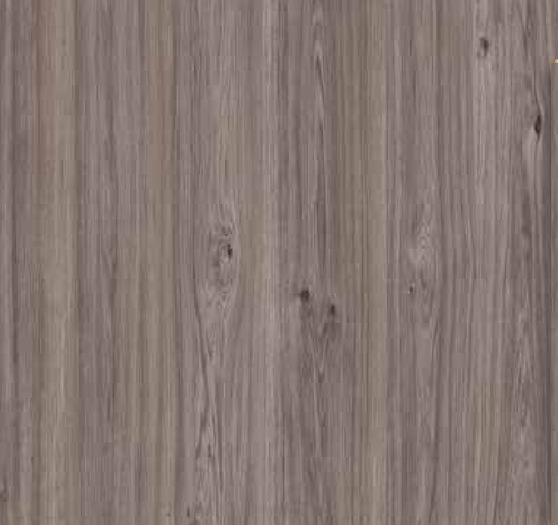 Foresta XLarge Mappa