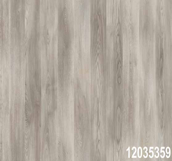 Marco Polo Premium Florida (Labrador)