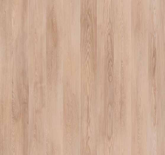 Marco Polo Premium Hudson (Samoa)